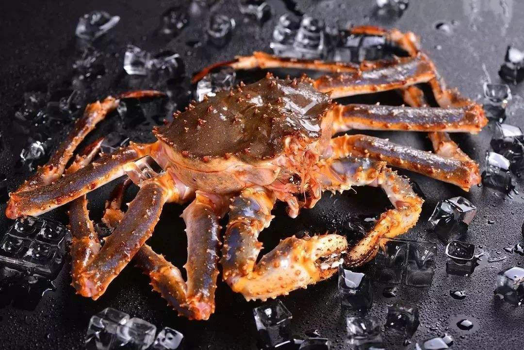 冰鲜帝王蟹海鲜水产新鲜长脚蟹海蟹特大螃蟹酒店自助餐供应皇帝蟹