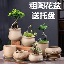 粗陶花盆透气小号清香木发财树盆景盆栽家用特价小多肉花盆带托盘