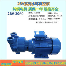 2bv水环式真空泵工业用抽气泵循环水负压泵高防爆电机 5110 5111
