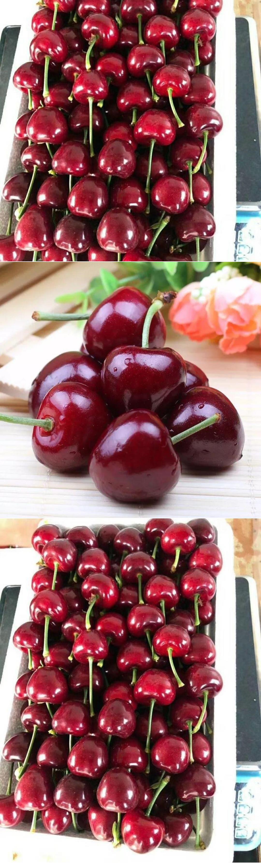 天水大樱桃车厘子-阿里巴巴