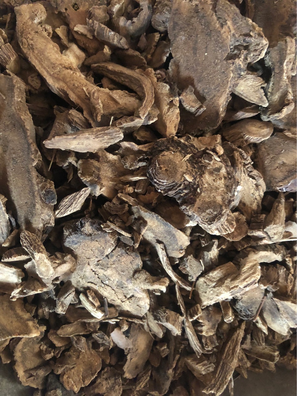 中药材土木香 青木香 祁木香 藏木香 代嚰粉