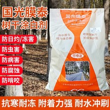 树干涂白剂果树防虫市政盆景国光糊涂树木刷白果树城市代替石灰水