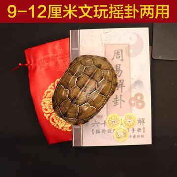天然完整干净真乌龟壳文玩盘玩手把件龟甲家居客厅摆