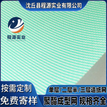 厂家直供成型机网带造纸干网聚酯单层两层半三层洗浆网纸浆脱水网