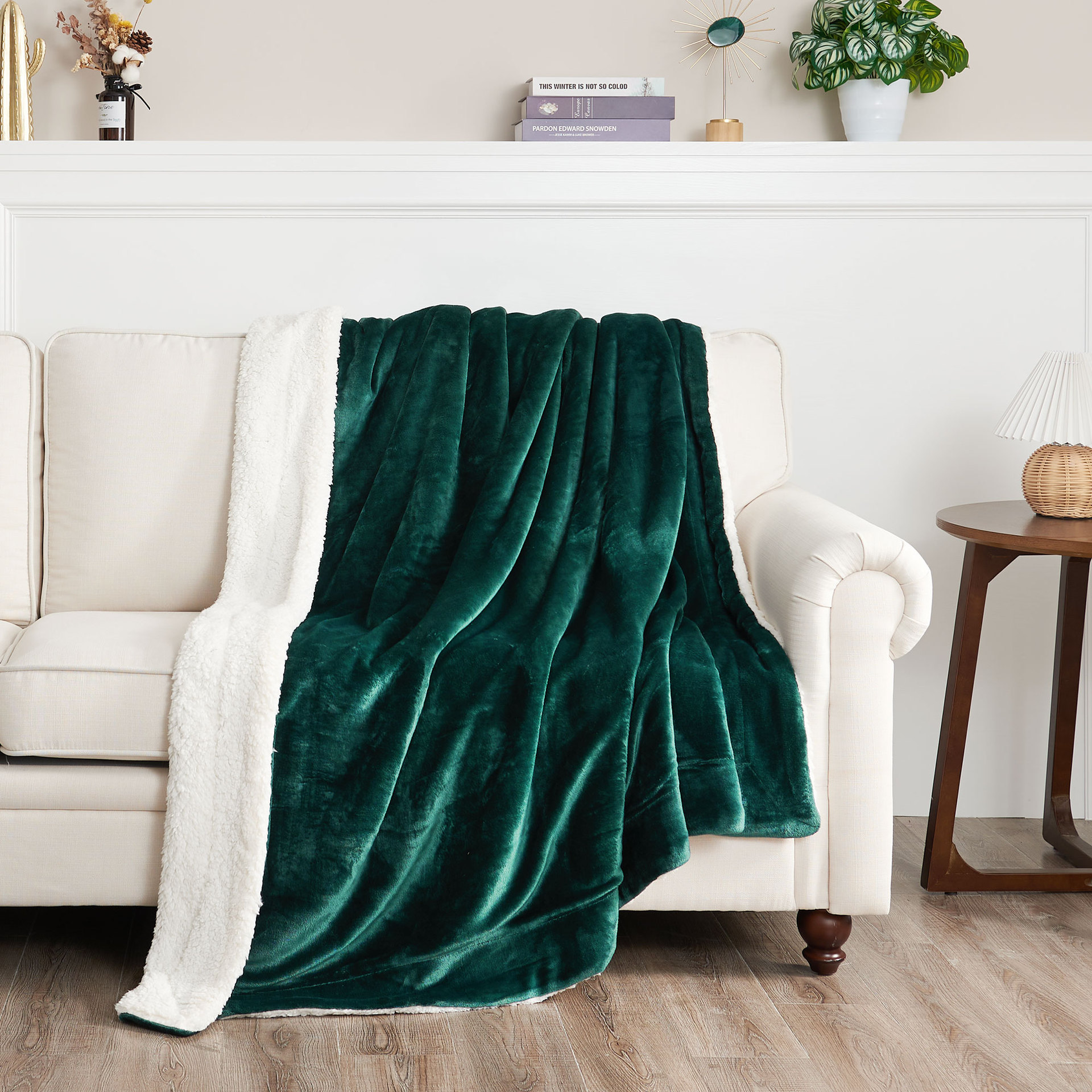 双层法兰绒毛毯被子加厚冬季可爱铺床毯子沙发纯白儿童双层办公室