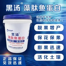 果树瓜果生根膨果水溶肥微生物菌剂冲施肥藻钛鱼蛋白通用肥