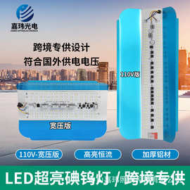 led高亮宽压碘钨灯 LED投光灯  50W 100W 200W加厚铝壳 跨境 110V