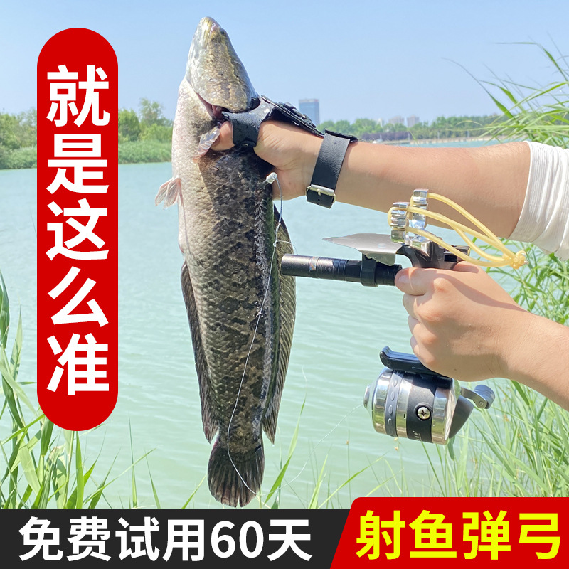 New Fishing Gear Fishing Slingshot High-Precision Fishing Device Set Fish Maw Arrow Fishing Bullet Worker Complete Collection Fishing Device