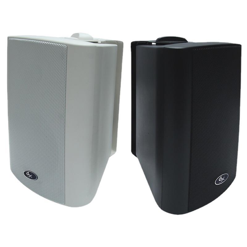 天声智慧公共广播壁挂音箱时款现代校园教室扬声器喇叭tb662b/w