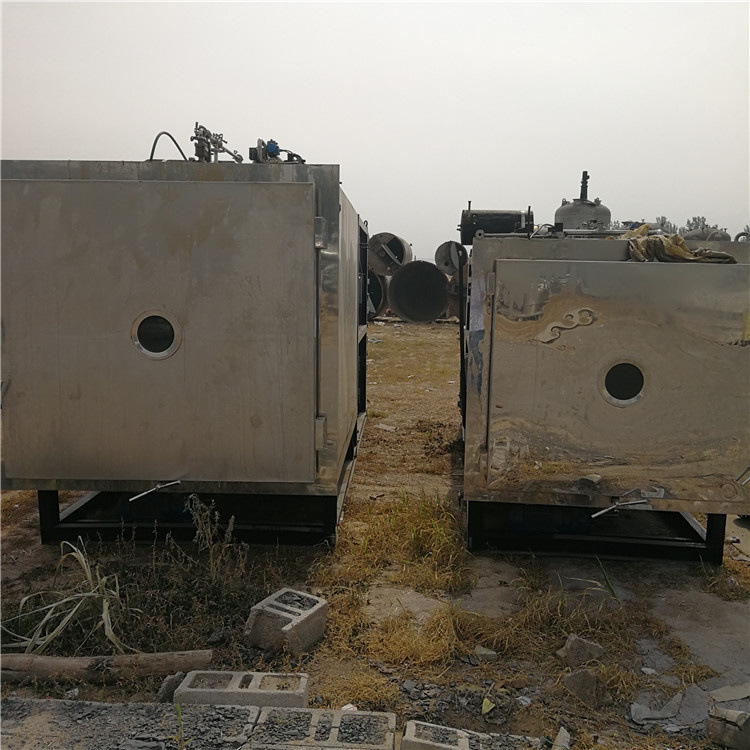 果蔬冻干机 真空冷冻干燥机 30平方桑葚果冻干机价格