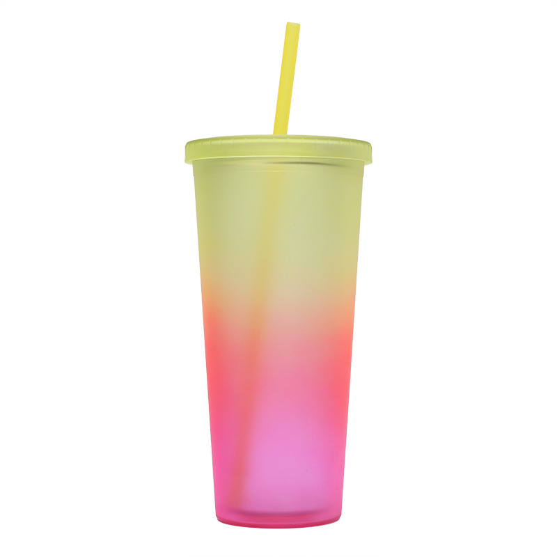Factory Direct Supply Rainbow Color Double Plastic Straw Cup
