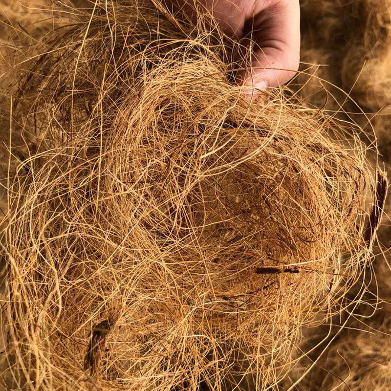 (批发进口椰丝)椰棕丝床垫装饰天然填充物防虫面盆铺面植物盆栽