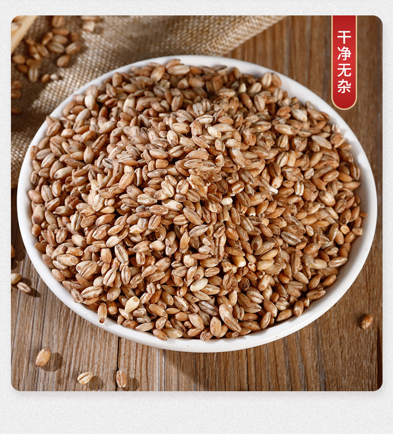 熟青稞500g五谷杂粮现磨豆浆热饮磨粉原料熟青稞米散装50斤批发
