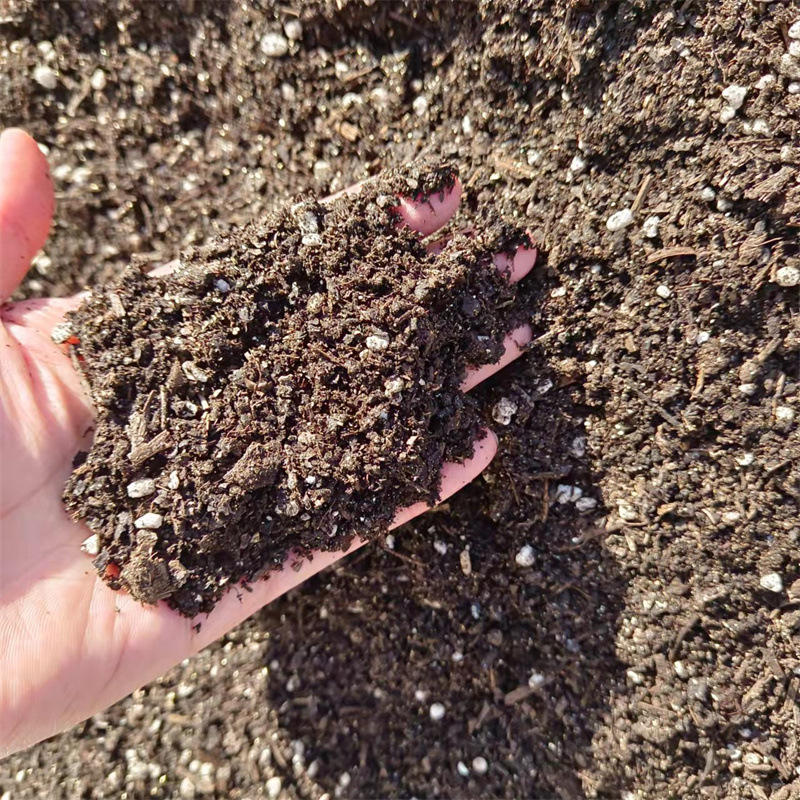 供应营养土园艺育苗扦插树苗蔬菜无土栽培基质腐殖土草炭土