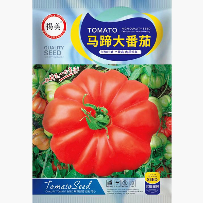 潮汕马蹄大番茄种子 番茄西红柿种子 马蹄番茄 条纹番茄1000粒装