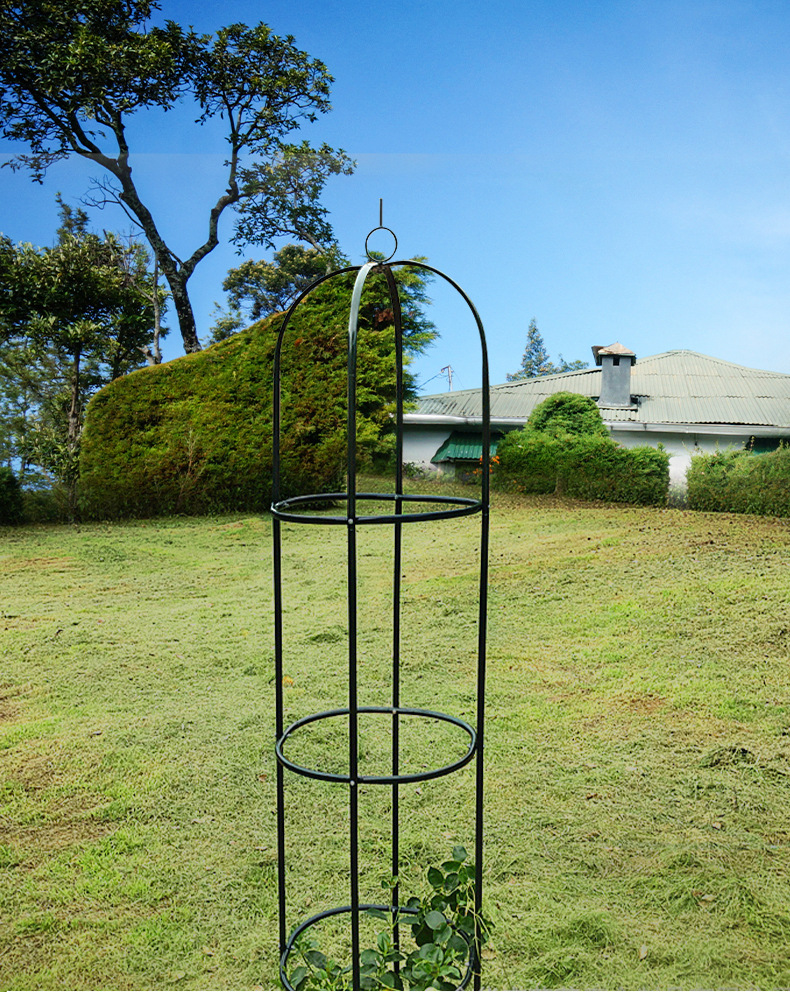 植物园艺黄瓜番茄葡萄月季花架铁线莲爬藤架子花卉支架圆柱支撑杆