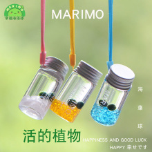 marimo幸福海藻球随身瓶迷你绿植水培微景观生态瓶负离子生物