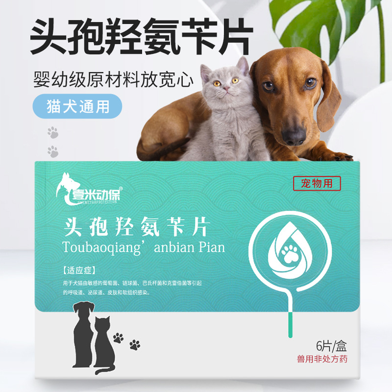 壹米动保头孢羟氨苄片6片/盒狗狗猫咪呼吸道感染泌尿道宠物消炎药