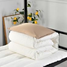 3DWF棉花被芯被褥临时盖被加厚保暖单人床垫被胎宿舍学生便宜
