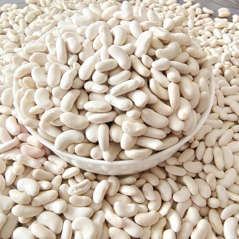 2021年新豆 云南小白豆小白芸豆 四季豆农家自种煲汤煮粥五谷杂粮