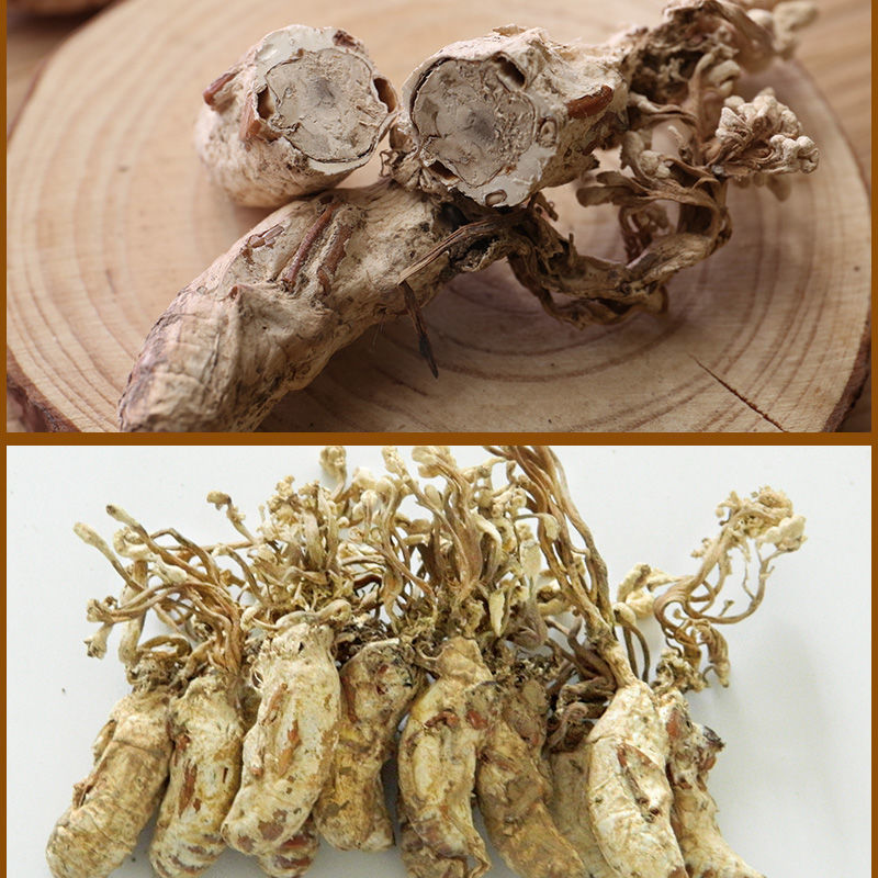 2022新货年蝉花金蝉花新货 知了花虫草花大别山蝉花-阿里巴巴