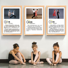 1CNG批发舞蹈房艺术壁画芭蕾舞舞现代舞教室布置舞种简介墙面装饰