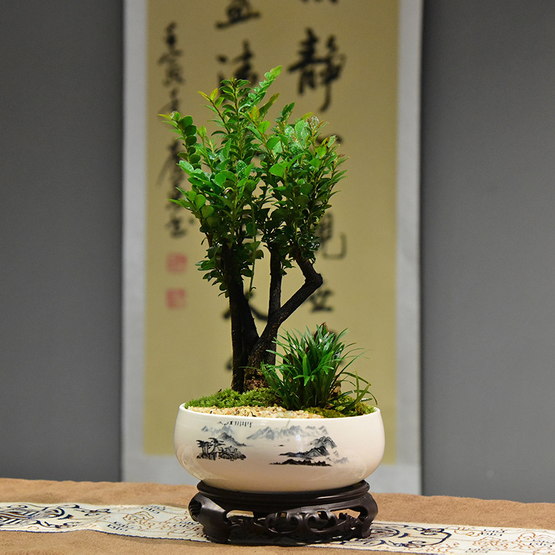 阿里巴巴中国站为第三方交易平台及互联网信息服务提供