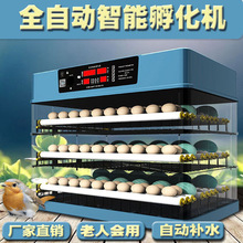 孵化器小型家用孵化机全自动智能鸡蛋鸟鸭鹅鹦鹉迷你小鸡孵蛋器