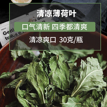 花茶薄荷叶干薄荷茶薄荷叶茶咀嚼食用新鲜凉茶泡水喝的