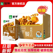 2月产早餐奶核桃原麦味牛奶250mL*16盒整箱礼盒乳品饮料