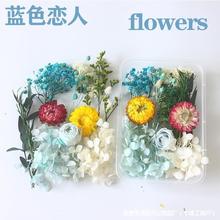 永生花材料包干花相框团扇画儿童节贺卡干花真花盒滴胶diy沙龙