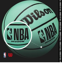 NBA威尔逊标准7号篮球9003 9002 9001耐磨专业室内外通用比赛用球