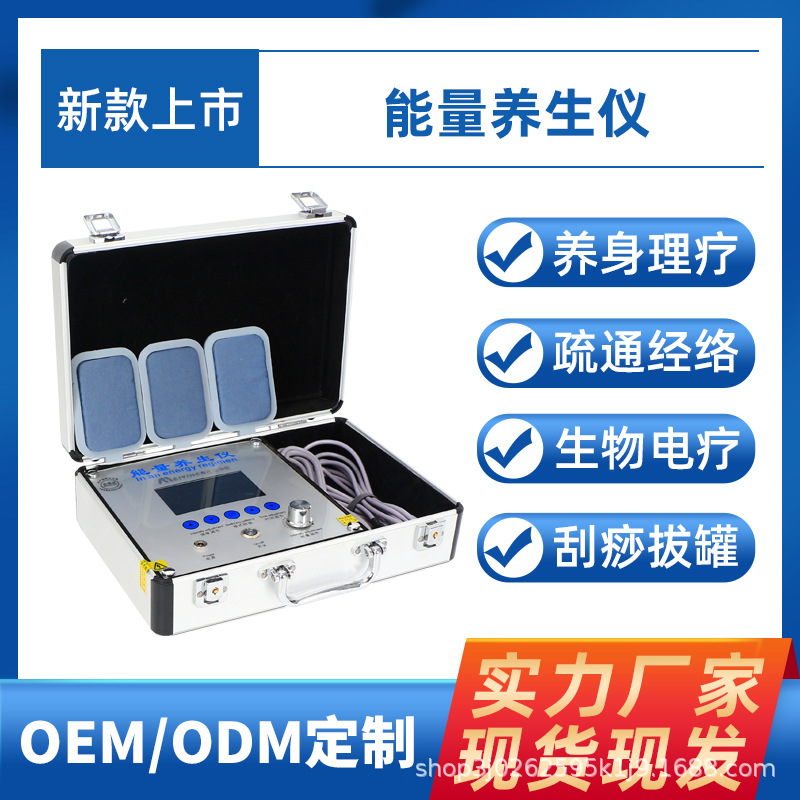 能量养生仪OEM理疗电疗仪贴牌加工经络按摩器厂家批发美容仪工厂