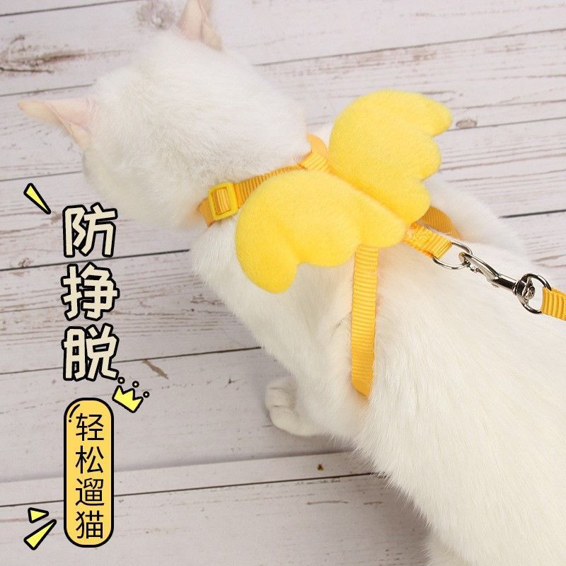 猫咪专用牵引绳栓猫绳遛猫外出背带猫链子牵引带防挣脱遛猫绳子