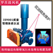 双油箱免维护三叶罗茨鼓风机有机肥发酵气力输送污水处理脱硫脱硝