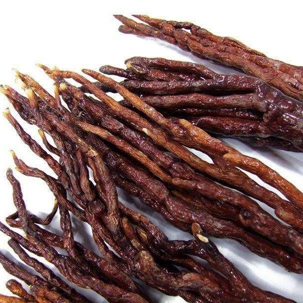 灵芝草鹿角灵芝