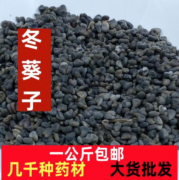 冬葵籽 冬葵子 野生冬葵子 苘麻子青麻籽冬葵子中药材一公斤包邮