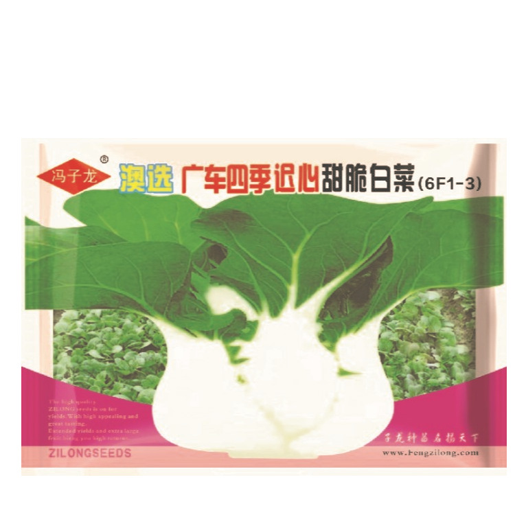 冯子龙种苗厂家直售批零蔬菜  澳选广车四季迟花甜脆白菜(6F1-3)