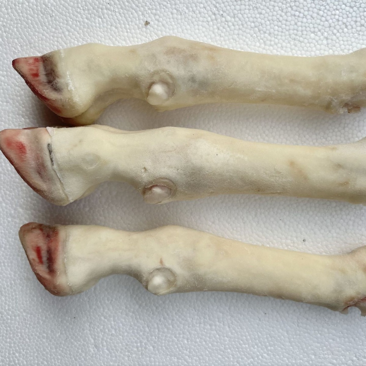 新鲜冷冻羊蹄 羊脚 生羊蹄 羔羊蹄 清真 内蒙羊蹄子食用