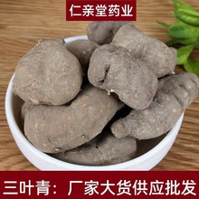 三叶青中药材金钱吊葫芦石猴子当季新货产地货源量大从优承接大货