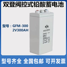 双登蓄电池GFM-300 2V300AH 阀控密封式铅酸免维护通信基站直流屏