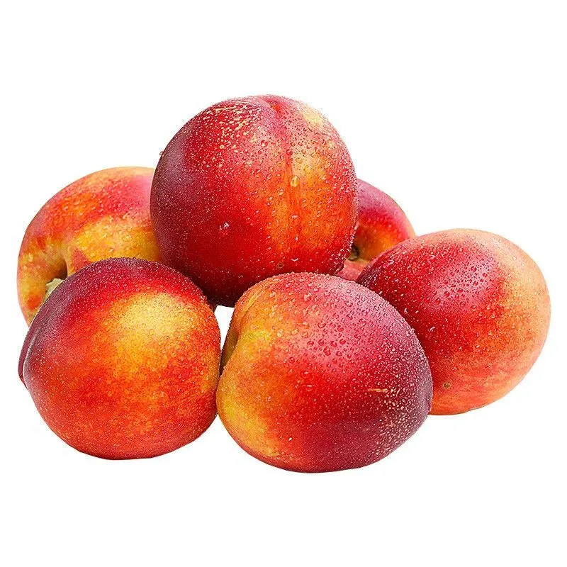 智利油桃5斤应季新鲜水果时令整箱包邮蜜桃脆桃油桃一件代发-阿里巴巴