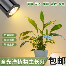 光谱花卉太阳光灯泡led全育苗草莓20W鱼缸射仿番茄植物生长灯蔬菜