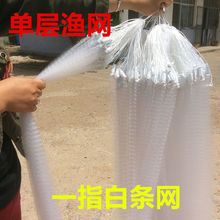 白条鱼网1指粘网一指半指单层挂网沉网浮网捕鱼网丝网渔网小鱼白