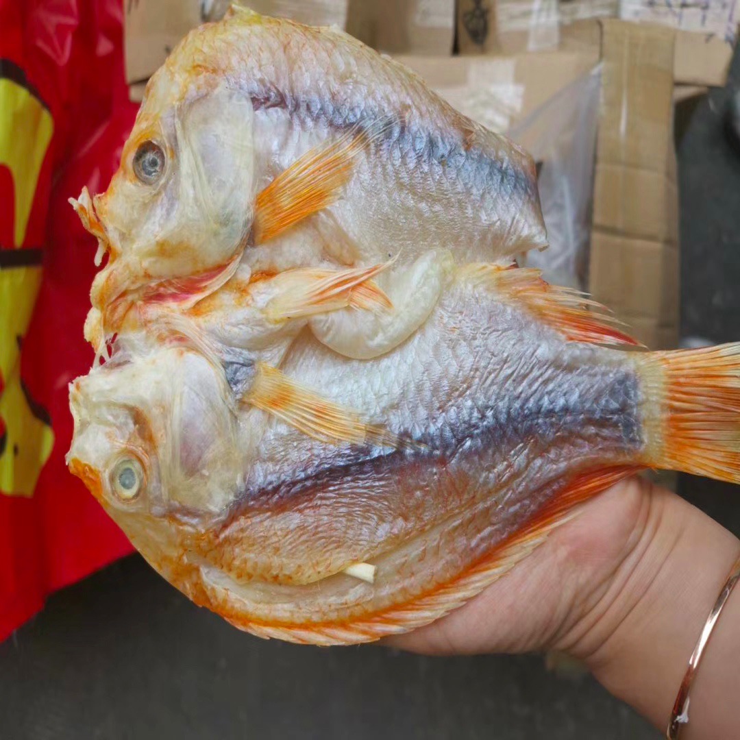 红鱼红立鱼红蜡鱼咸鱼鱼干海鲜干货海味鱼水产海产品