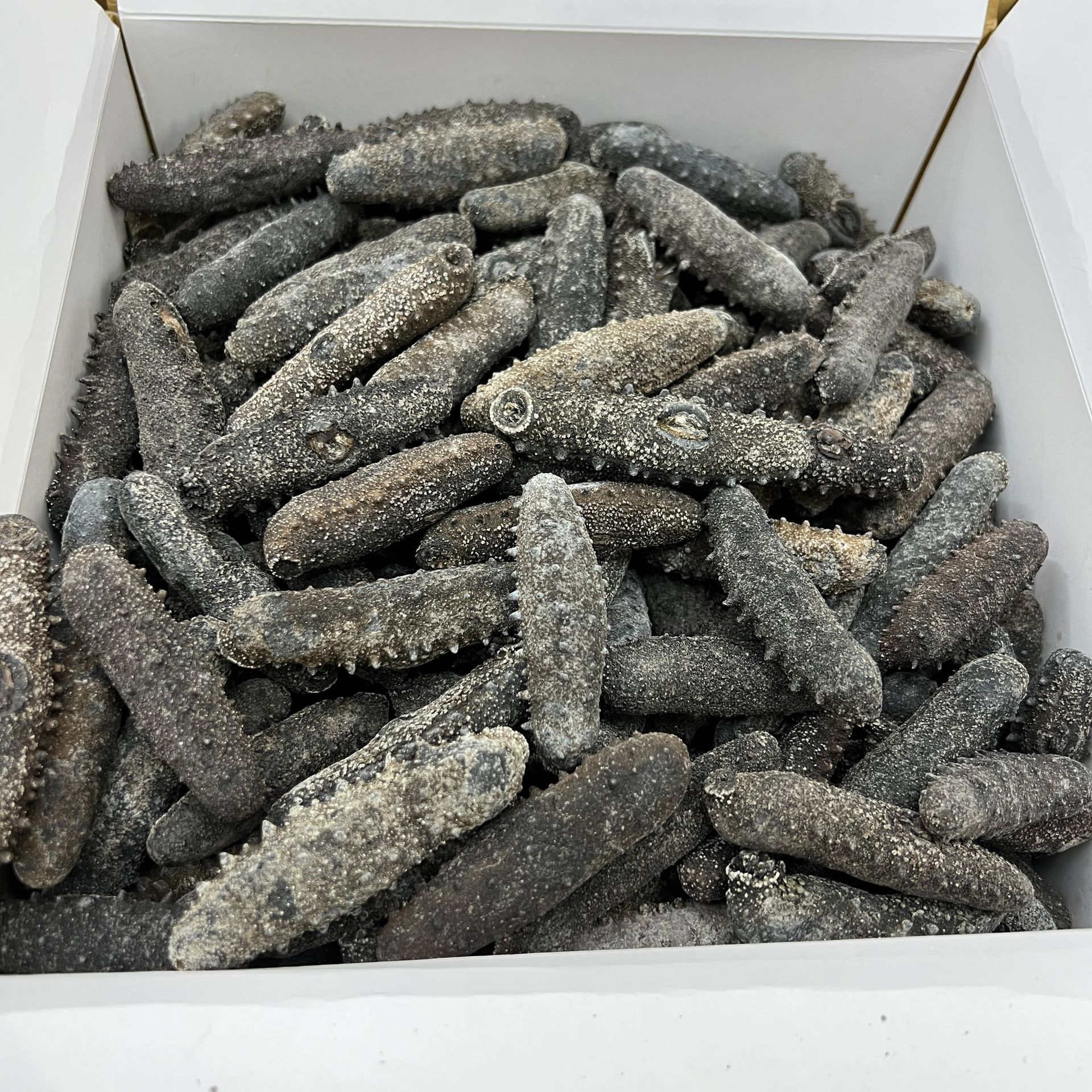 日本北海道天然野生关西参海参干货直销纯淡干辽刺参20-300头