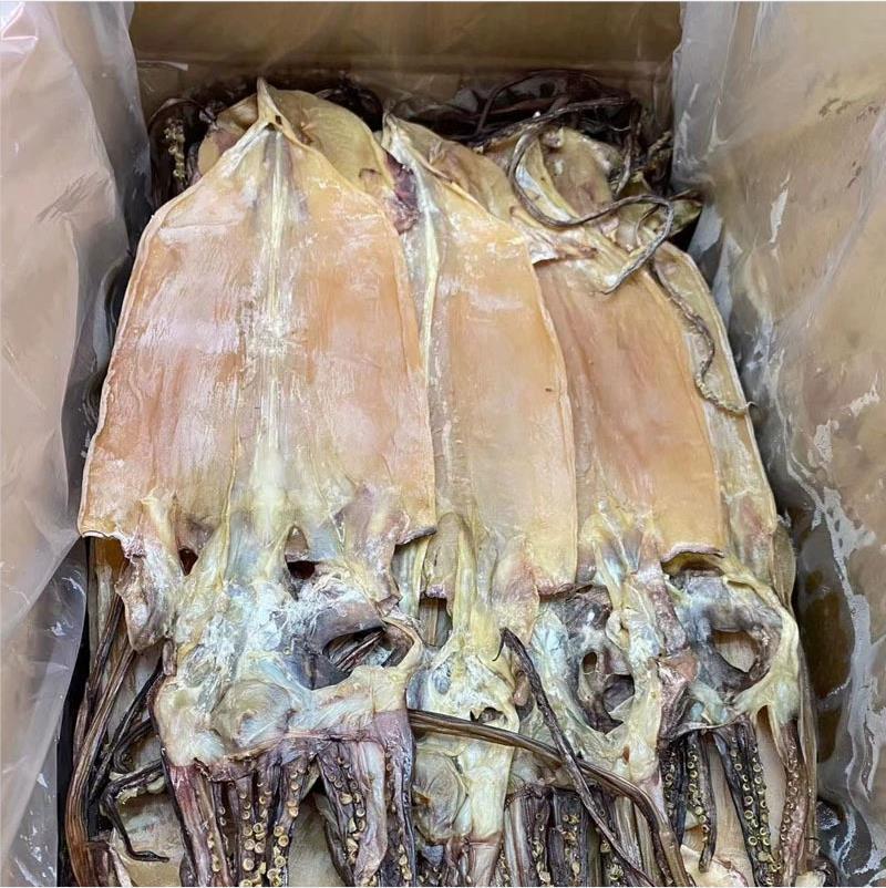 阿根廷鱿鱼干淡干鱿鱼干货海鲜地摊干货批发手撕芥末大鱿鱼