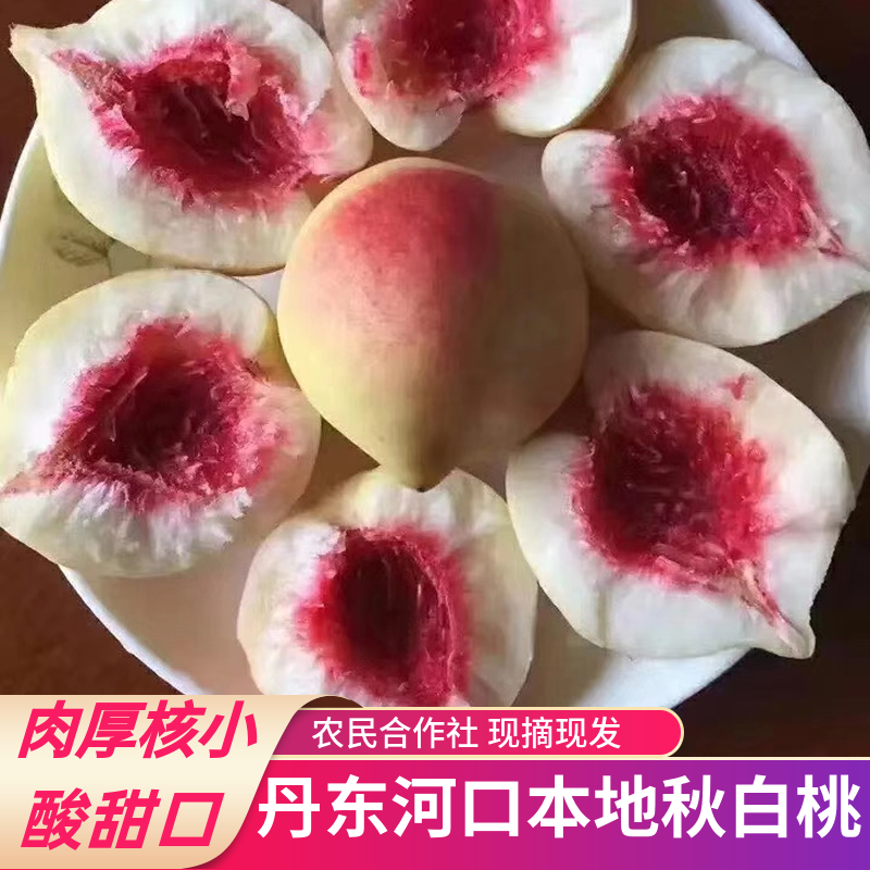 丹东河口秋白桃银白桃离核桃新鲜黑沟大毛桃包邮现摘现发5斤10斤