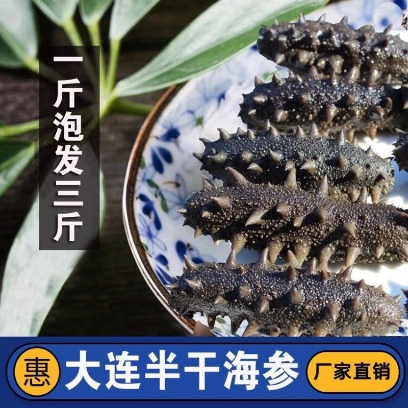 正宗长岛拉缸盐半干海参深海底播野生刺参干货特产酒店直供-阿里巴巴
