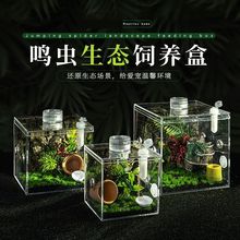 蝈蝈罐新款高透鸣虫生态盒盒油葫芦蛐蛐扎嘴跳蛛竹蛉螳螂昆虫盒